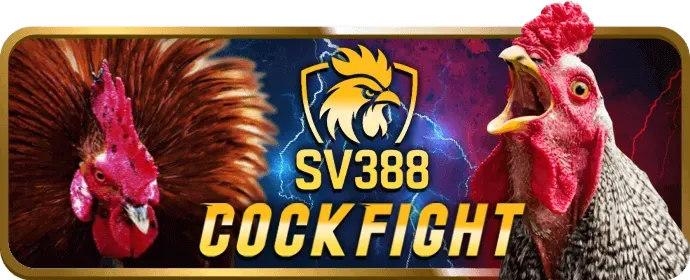 Hỗ trợ khách hàng hi8823